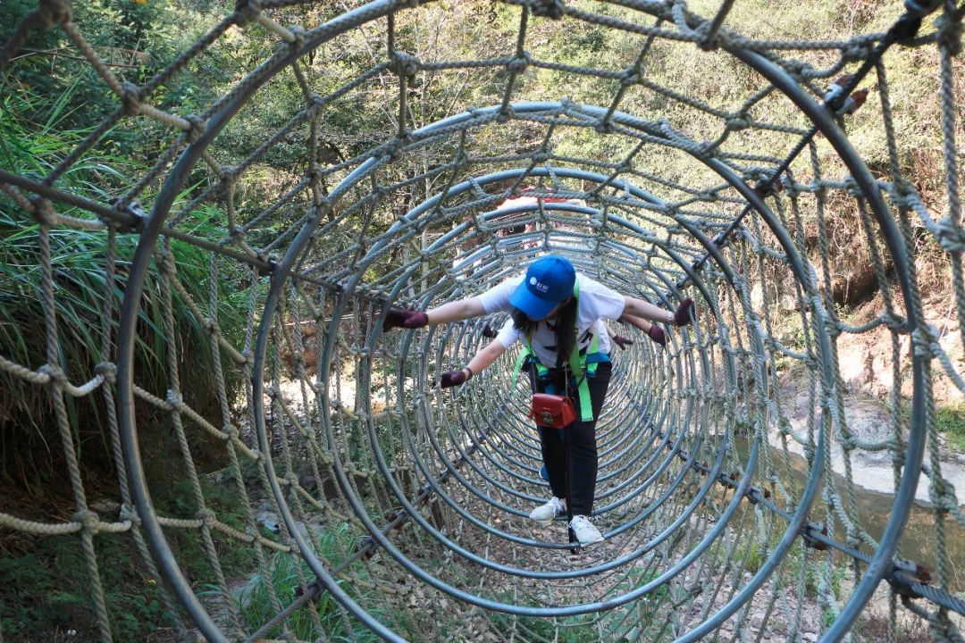 GA黄金甲·(中国区)官方网站