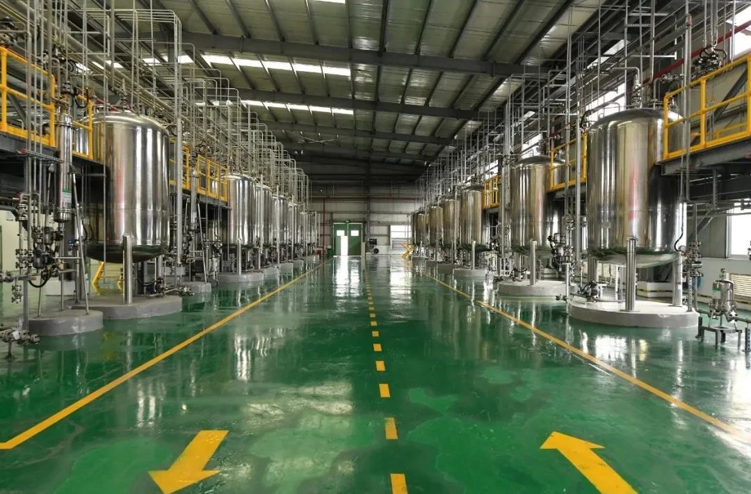 GA黄金甲·(中国区)官方网站