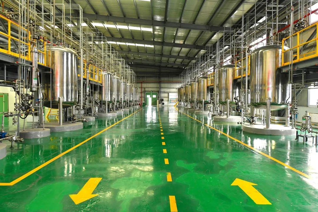 GA黄金甲·(中国区)官方网站